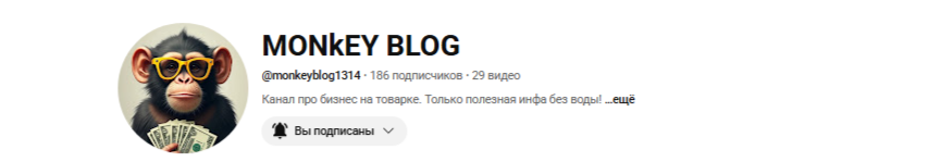 [Monkey Blog] Заработок на рекламе и партнерках Yo_0.png